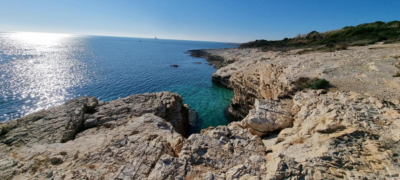 Apartmani Sunce I More بريمونتيرا المظهر الخارجي الصورة
